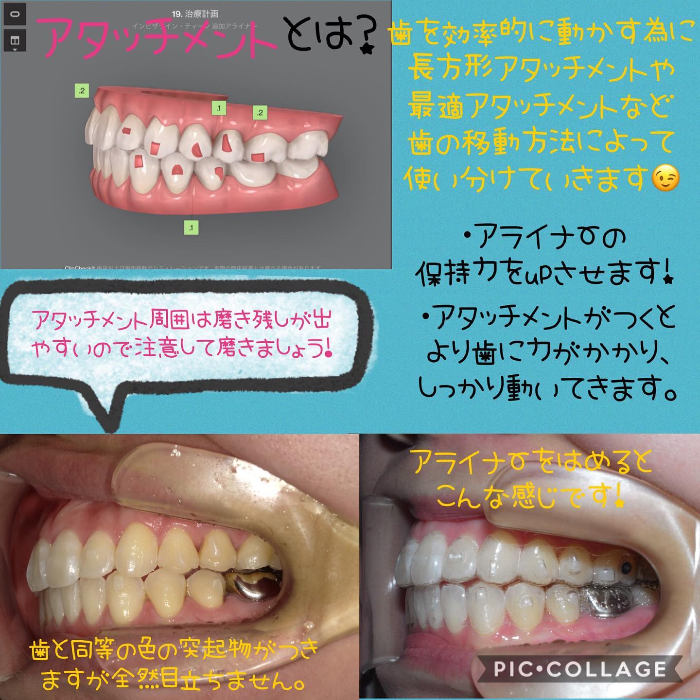 Instagramからの投稿