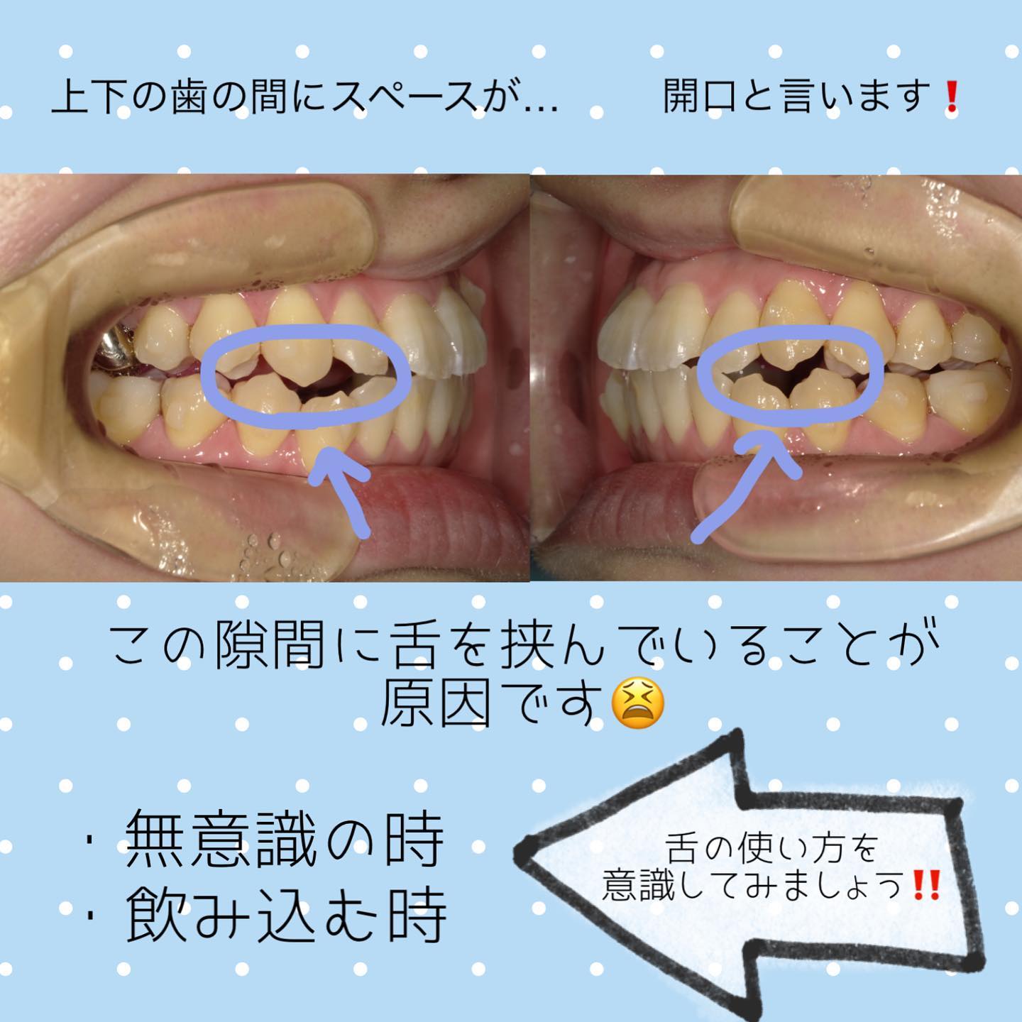 Instagramからの投稿